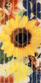 Cuba Sunflower 295x595 D6