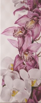 Sote Orchid 200x500 /17