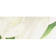 Tulip Maxi 4 W Плитка 200x500  сорт 1