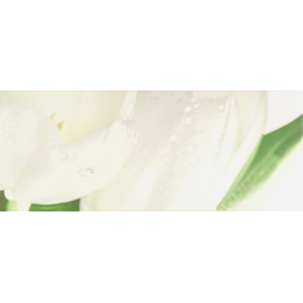 Tulip Maxi 4 W Плитка 200x500  сорт 1