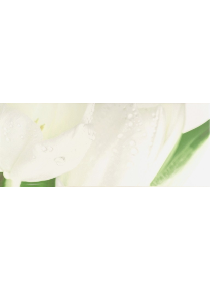 Плитка 200x500 Tulip Maxi 4 W сорт 1