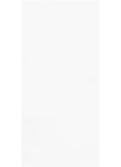 Mono SW 250x750 Плитка сорт 1