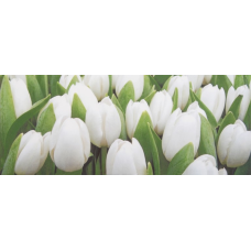 Tulip Mini W Плитка 200x500 сорт 1