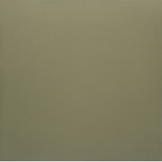 PK MN 400 600x600x9,5 Плитка КЕРАМОГРАНІТ   сорт S