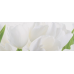 Плитка 200x500 Tulip 1 W сорт 1