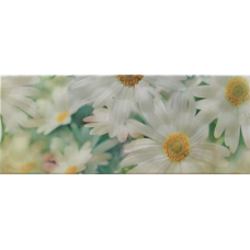 Sote 2 Chamomile 200x500 Плитка  сорт 1