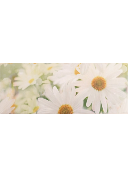 Sote 1 Chamomile 200x500 Плитка   сорт 1