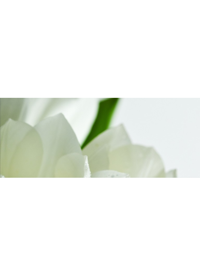 Плитка 200x500 Tulip Maxi 2 W сорт 1