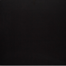 PK MN 1000 600x600x9,5 Плитка КЕРАМОГРАНІТ  сорт S