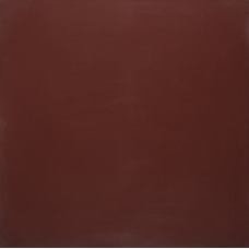 PK MN 200 600x600x9,5 Плитка КЕРАМОГРАНІТ  сорт S