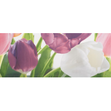 Tulip 2 PN 200x500 Плитка  сорт 1