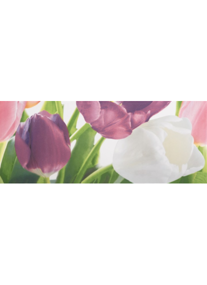 Tulip 2 PN 200x500 Плитка  сорт 1