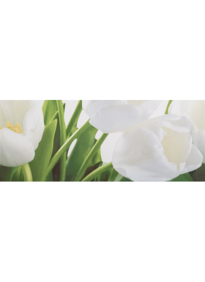 Плитка 200x500 Tulip 2 W сорт 1