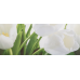 Плитка 200x500 Tulip 2 W сорт 1