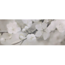 Berry 1 GR 200x500 Плитка  сорт 1