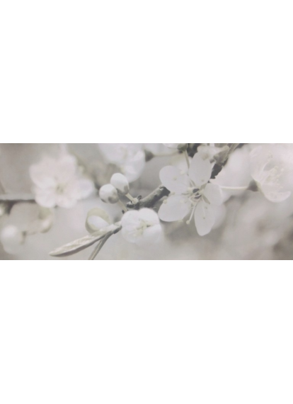 Плитка 200x500 Berry 1 GR сорт 1