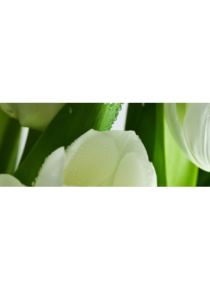 Плитка 200x500 Tulip Maxi 3 W сорт 1