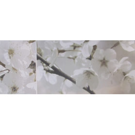 Berry 2 GR 200x500 Плитка сорт 1