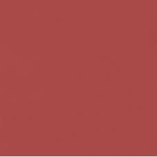 MK 220 600x600x9,5 Плитка КЕРАМОГРАНІТ  сорт S