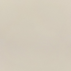 E0000 600x600x9,5 Плитка КЕРАМОГРАНІТ  сорт S