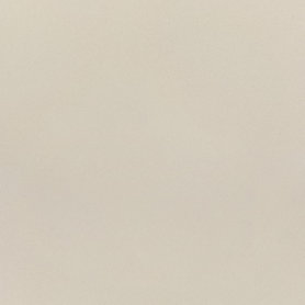 E0000 600x600x9,5 Плитка КЕРАМОГРАНІТ  сорт S