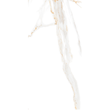 PK Aurora Gold Polished 295x595  Плитка КЕРАМОГРАНІТ полір. сорт S