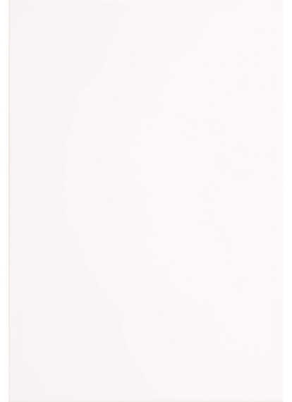 Плитка 300x600 Mono W сорт S