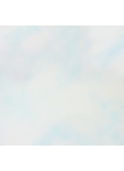 Плитка КЕРАМОГРАНІТ 300x300x7,5 Vera BL сорт S