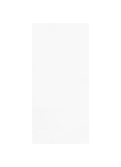 Плитка 300x600 Mono W 