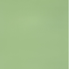  PK MN 400 600x600x9,5 Плитка КЕРАМОГРАНІТ сорт S