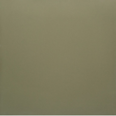 PK MN 400 600x600x9,5 Плитка КЕРАМОГРАНІТ   сорт S