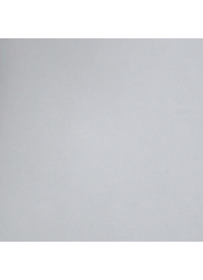 Плитка КЕРАМОГРАНІТ ректиф. 600x600 Flavia GR сорт S