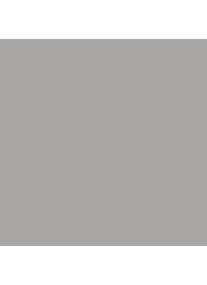 Плитка КЕРАМОГРАНІТ 600x600x9,5 PK MN 006 сорт S