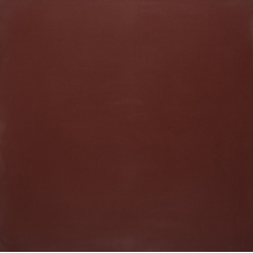 PK MN 200 600x600x9,5 Плитка КЕРАМОГРАНІТ   сорт S