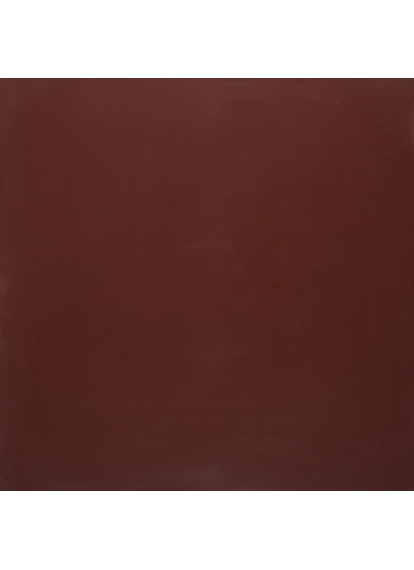 Плитка КЕРАМОГРАНІТ 600x600x9,5 PK MN 200 сорт S