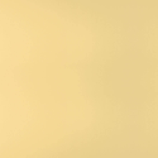 MN 007 600x600x9,5 Плитка КЕРАМОГРАНІТ   сорт S