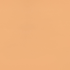 MN 009 600x600x9,5 Плитка КЕРАМОГРАНІТ сорт S