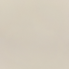 PK E0000 595x595x9,5 Плитка КЕРАМОГРАНІТ  сорт S