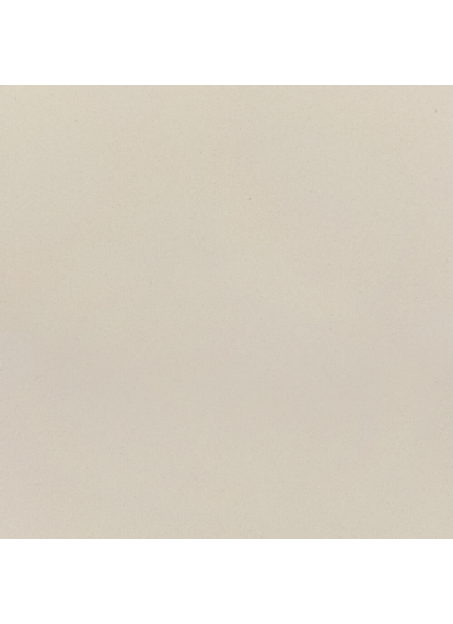 PK E0000 595x595x9,5 Плитка КЕРАМОГРАНІТ  сорт S